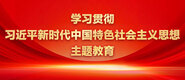 骚逼爆操大鸡吧学习贯彻习近平新时代中国特色社会主义思想主题教育_fororder_ad-371X160(2)